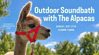 ✨ Soundbath with the Alpacas
