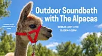 ✨ Soundbath with the Alpacas