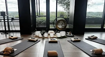 The Downshift: A Sound Bath at The Bunny Hive