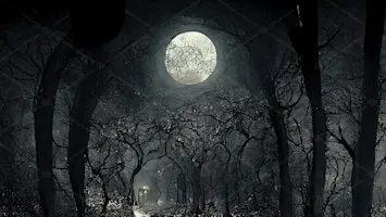 Witches’ Ball: Waltz in a Gothic Forest