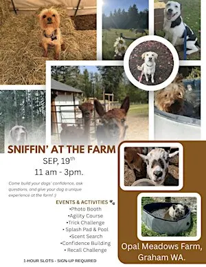 Sniffin' at the Farm, A Unique Experience for Dogs