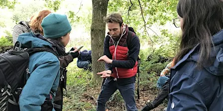 Wild Fungi and Mushrooms ID Skills Guided Walk