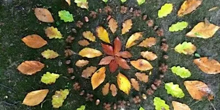 THE AUTUMN GATHERING