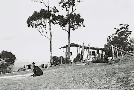 Living on Mount Sugarloaf: The story of Joe and Violet Taylor