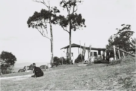 Living on Mount Sugarloaf: The story of Joe and Violet Taylor