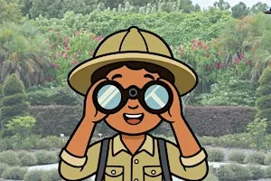 Beginner Backyard Birding