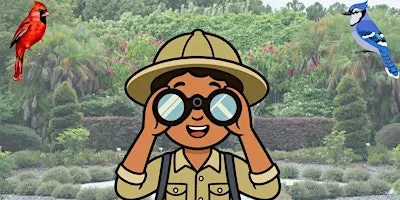 Beginner Backyard Birding