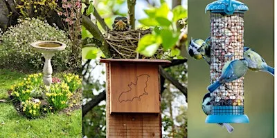 Backyard Habitat: Supporting Birds, Beneficials & Beyond