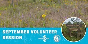 September Volunteer Session