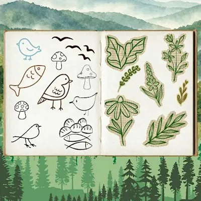 Kids Program: Nature Illustrations