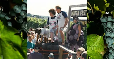 Grapestomping Contest