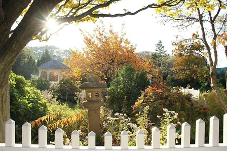 Autumnal Garden Tour with Horticulture Director Andi Pettis
