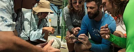 Maritime Archeology Seminar