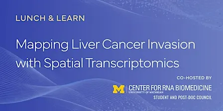 Mapping Liver Cancer Invasion with Spatial Transcriptomics