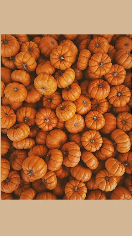Fall into Relaxation