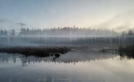 The Beaver Lake Project