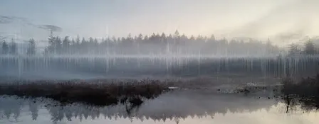 The Beaver Lake Project