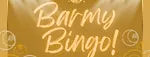 Barmy Bingo - Celebrating 20 years!