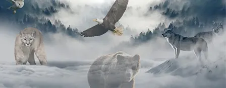 Introduction to Shamanism & The Shamanic Journey - Evening Workshop