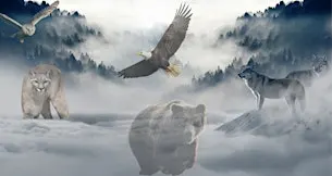 Introduction to Shamanism & The Shamanic Journey - Evening Workshop