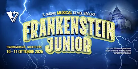 Frankenstein Junior - IL MUSICAL - Sabato 10 Ottobre 2026-16:30