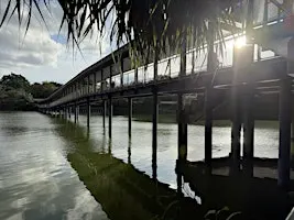 Leisure Walk: Mandai Broadwalk