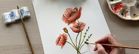 Botanical Watercolour for Beginners - Poppy Flower