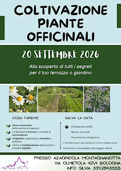 COLTIVAZIONE PIANTE OFFICINALI