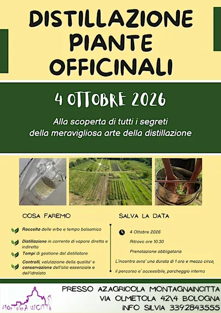 DISTILLAZIONE OLI ESSENZIALI