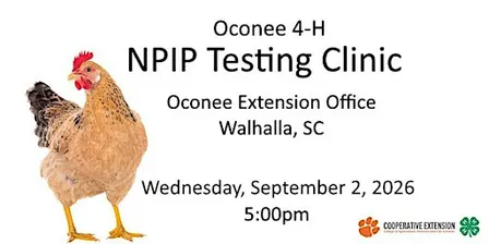 2026-27 Oconee 4-H NPIP Testing & Showmanship Clinic
