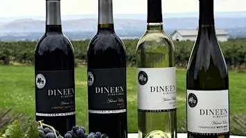 Dineen Vineyards Pop-Up