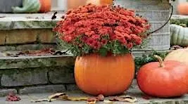 Fall Floral Design Class