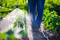 Initial Private Pesticide Applicator Training and Exam