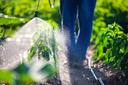 Initial Private Pesticide Applicator Training and Exam