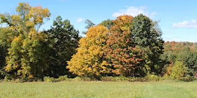 Fall Foliage Hike