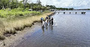 Trout River Oyster Reef tour at Riverview Park