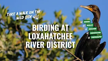 Birding at the Loxahatchee River District with the River Center