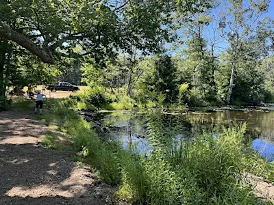 September Work Party