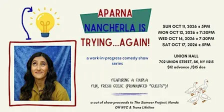 Aparna Nancherla Is Trying…Again!