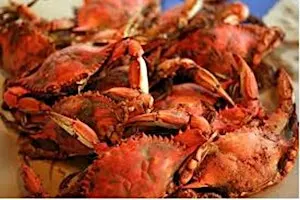 Blue Crabs & Beer Feast  - Sumter Original Brewery