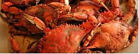 Blue Crabs & Beer Feast  - Sumter Original Brewery