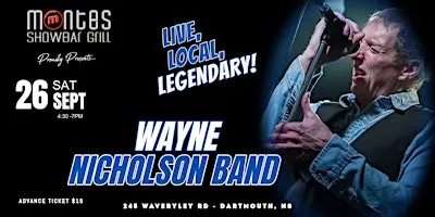 The Wayne Nicholson Band
