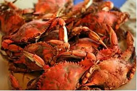 Southeast Crab Feast - Savannah (Fall Event)
