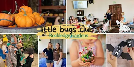 Little Bugs Learning Lab: Fall Fun