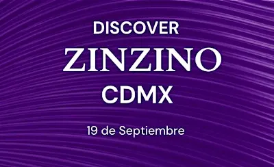 DISCOVER ZINZINO