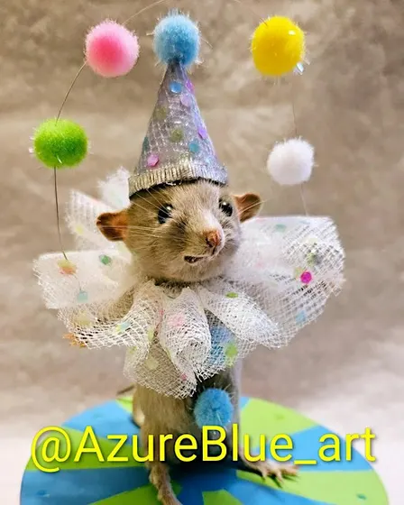 Beginner mouse taxidermy class