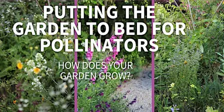 Putting the Garden to Bed: Supporting Pollinators