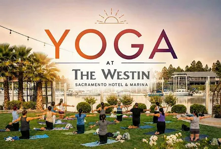 Yoga on the River