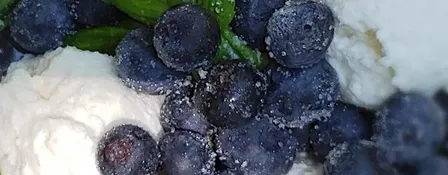 Fast & Fresh Cheesemaking - September 19