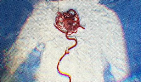 Breathe In / Breathe Out